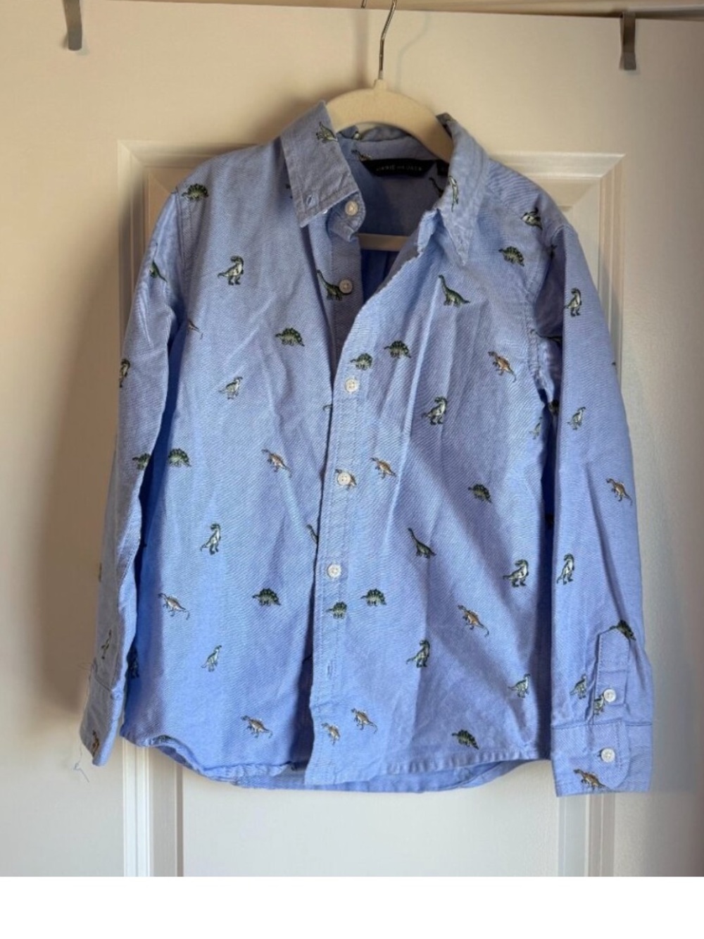 Janie and Jack dinosaur shirt